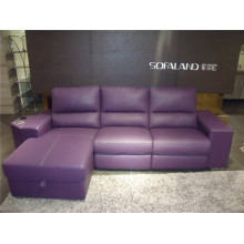 Wohnzimmer Echtleder Sofa (707)